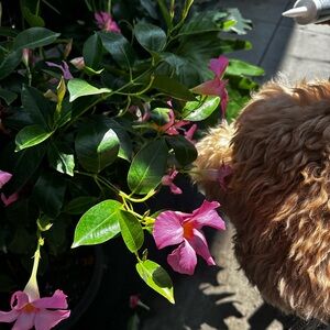 ‼️CLOSET RESET‼️